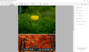 convert multiple images to pdf - new pdf file